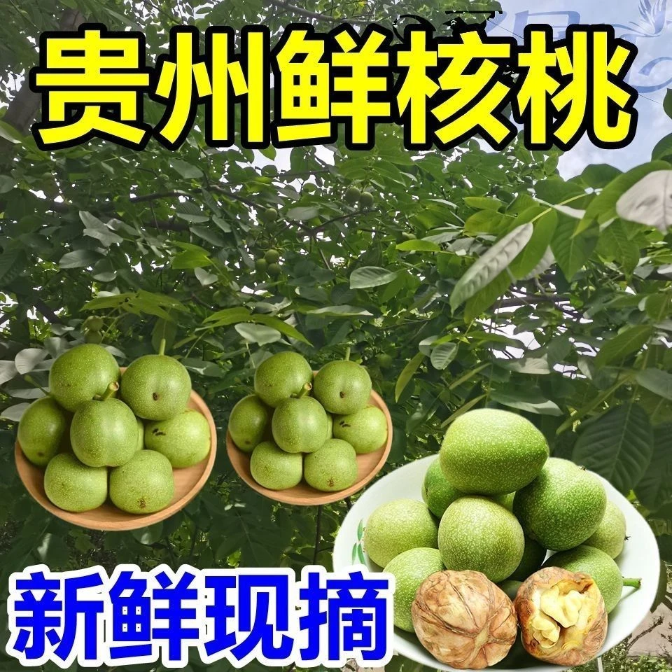 新疆阿克苏现摘青皮核桃新鲜带绿皮湿核桃当季新货