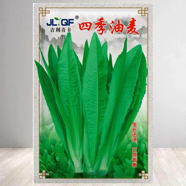 【满5包邮】油麦菜种子四季播青菜种籽仔阳台菜籽盆栽籽种蔬菜
