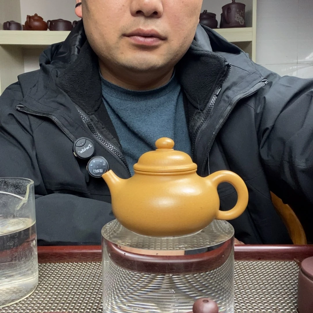 茶壶紫砂123456486