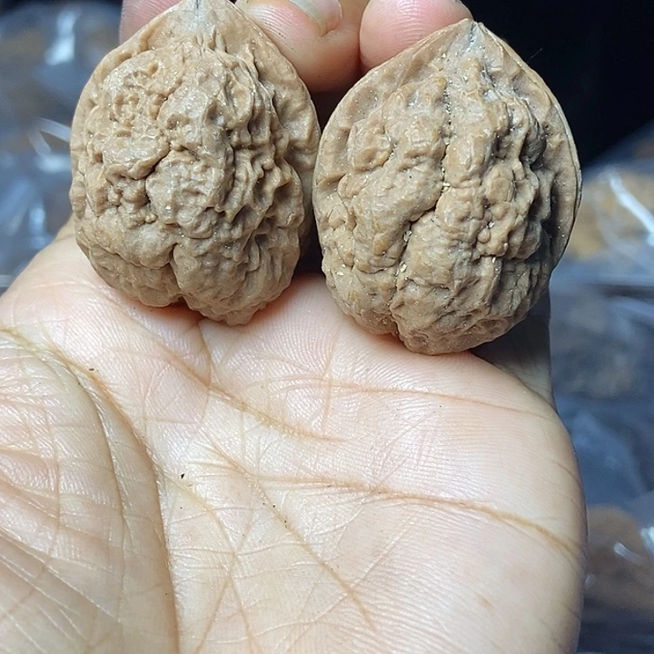 文玩核桃把件云南铁核桃基地75