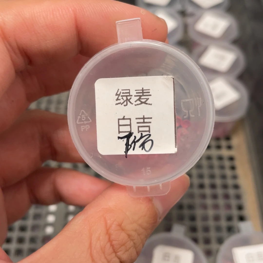 绿麦秆✖️白吉20粒，推荐好看