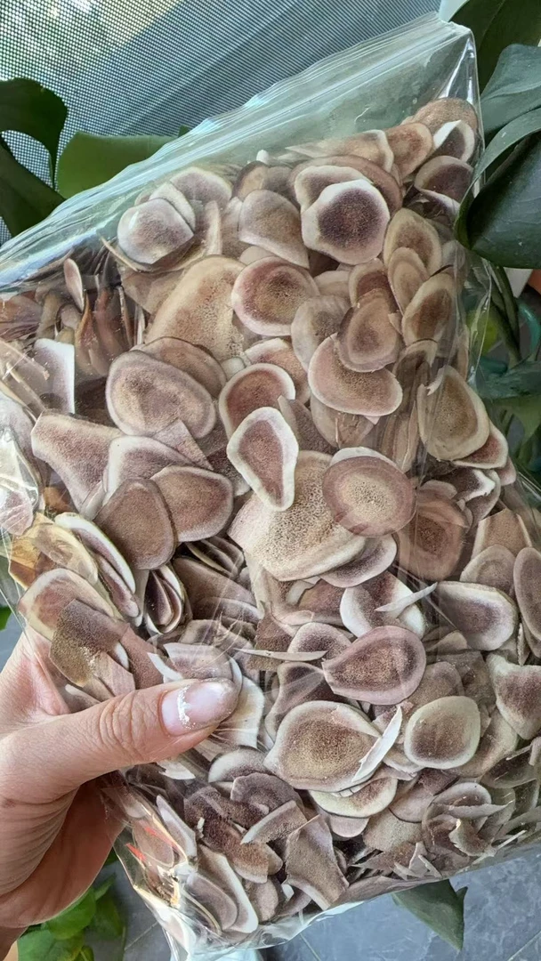 【陈老师夫妇】精选长白山特产鹿茸片干切片煲汤正品500克