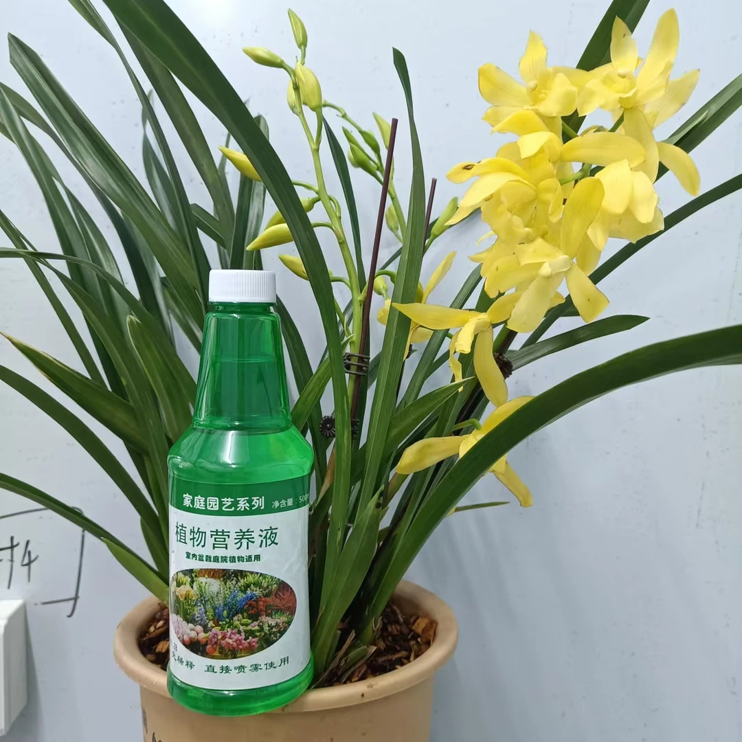 兰花专用营养液兰花催花复花