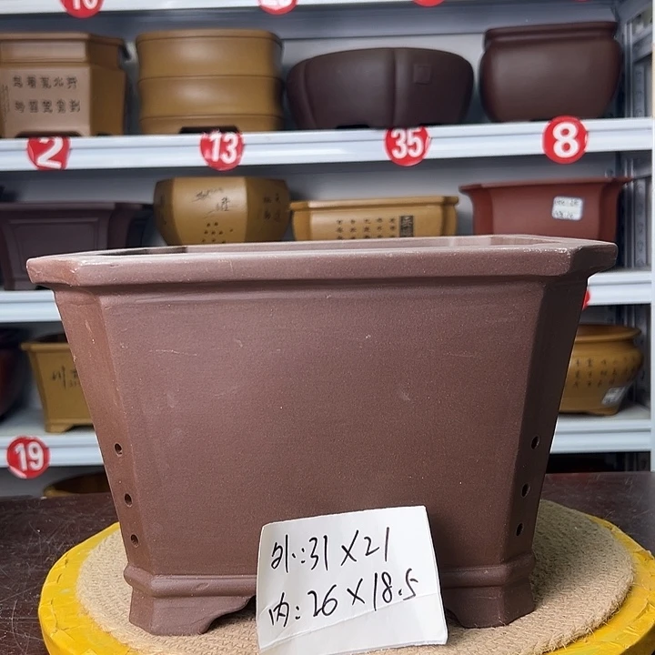 紫砂花盆蛇年大吉