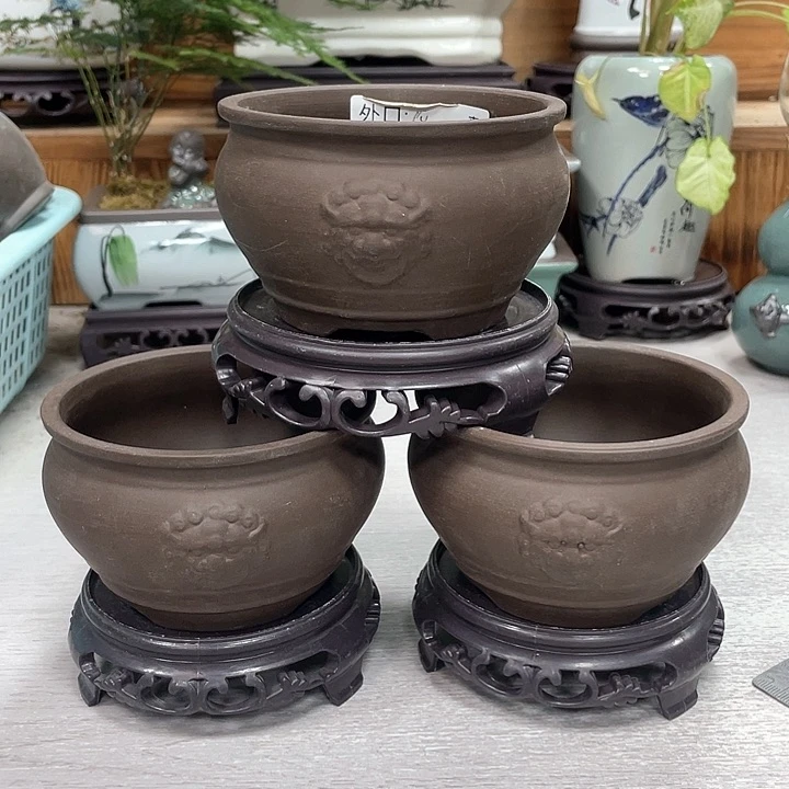 陶瓷花盆抢购福利