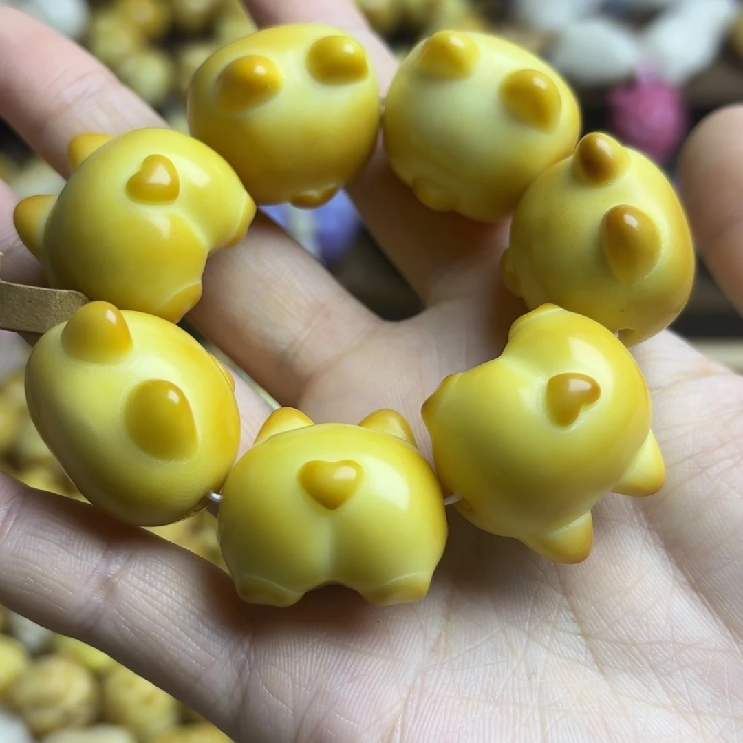 吊坠菩提根/象牙果全品