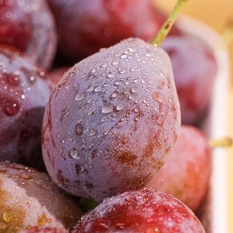 【绿野大叔】空运新疆法兰西西梅鲜甜多汁2斤分装和4斤原箱-顺丰