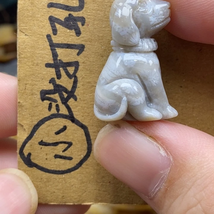 硅化珊瑚（珊瑚玉）未镶嵌颈饰