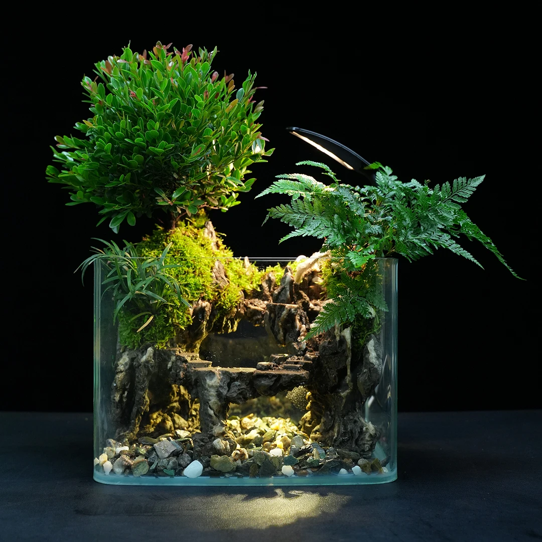 [星图]小叶赤楠创意绿植景观中式流水摆件发光鱼缸室内25**18cm