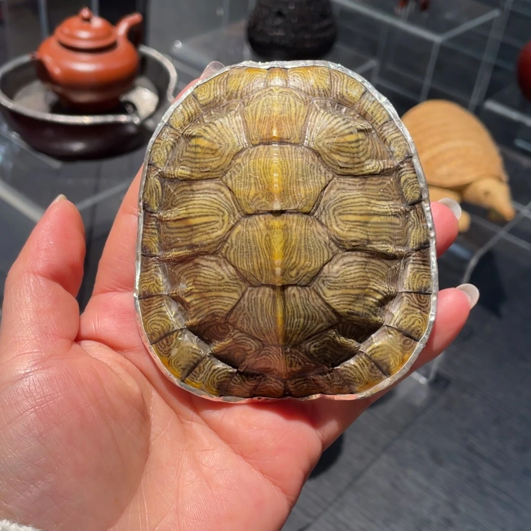 紫砂茶道纯手工制作