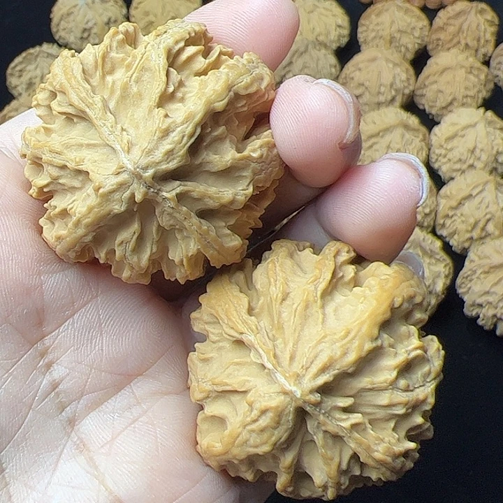 文玩核桃把件秦岭植物核桃