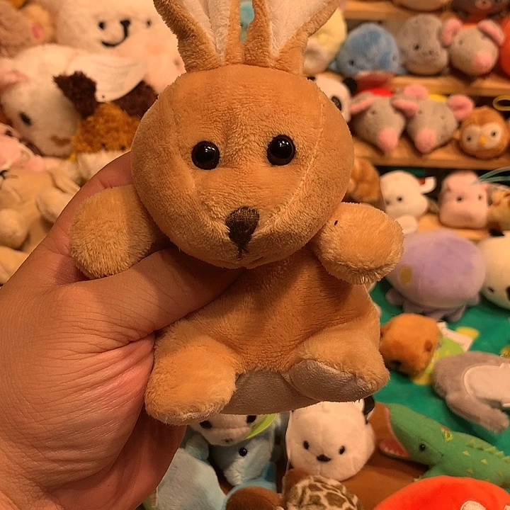 毛绒豆袋哈哈哈哈哈