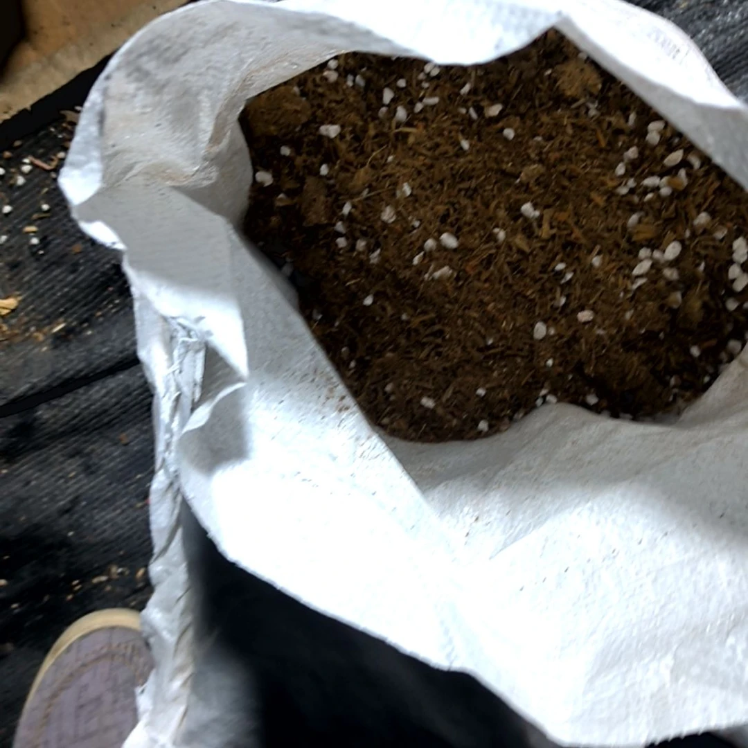 满6元包邮，多肉土一包