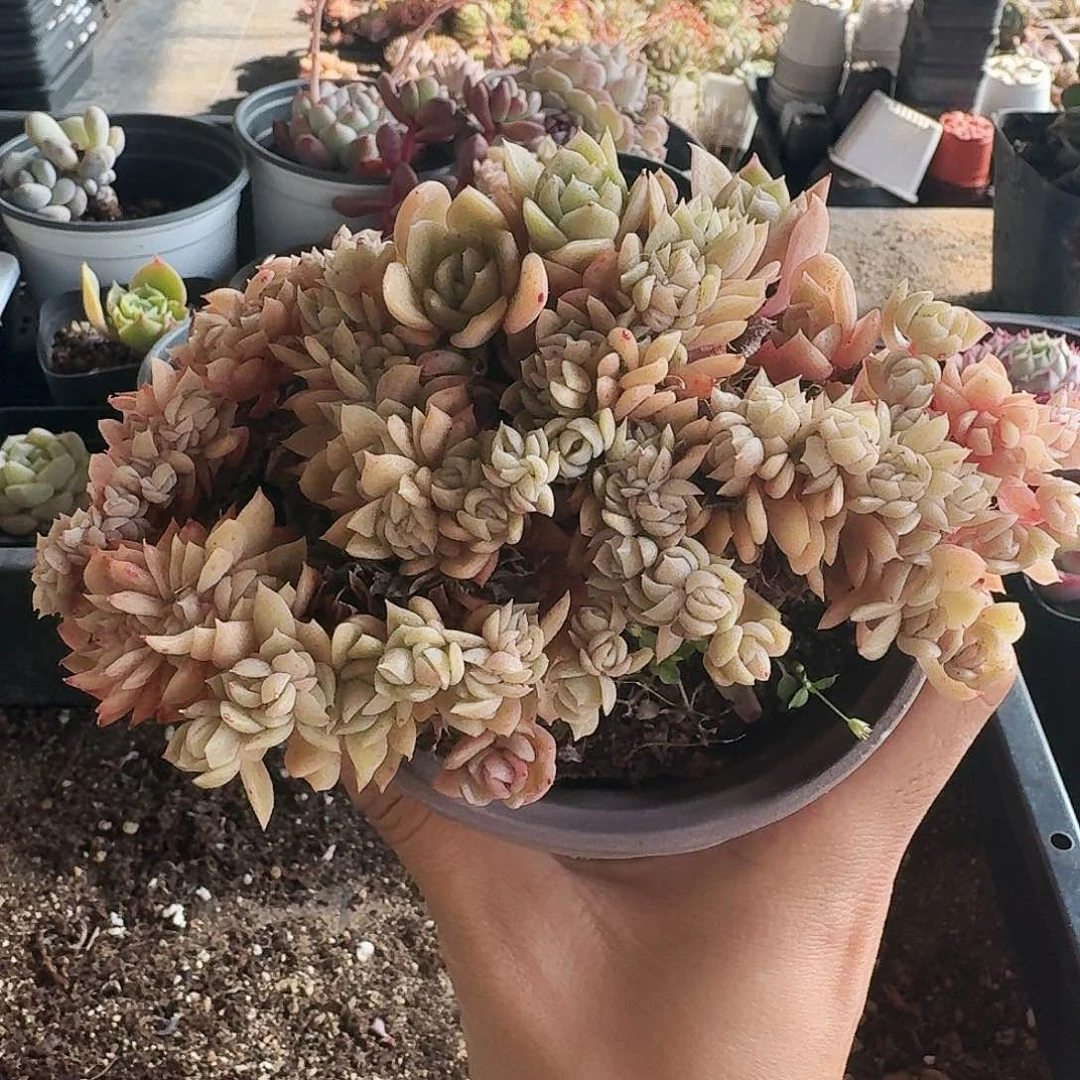 满20包邮零下拍保温箱