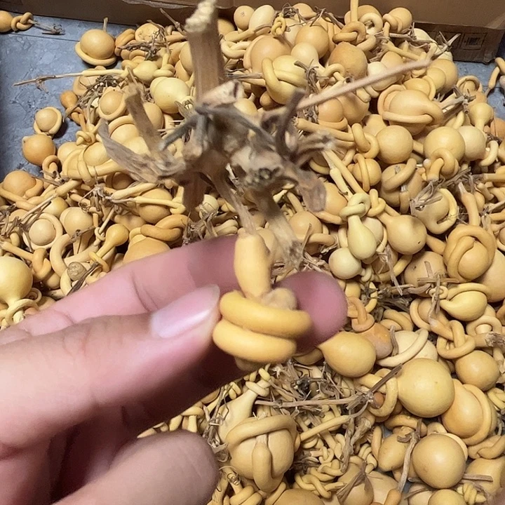 一把破葫芦真便宜