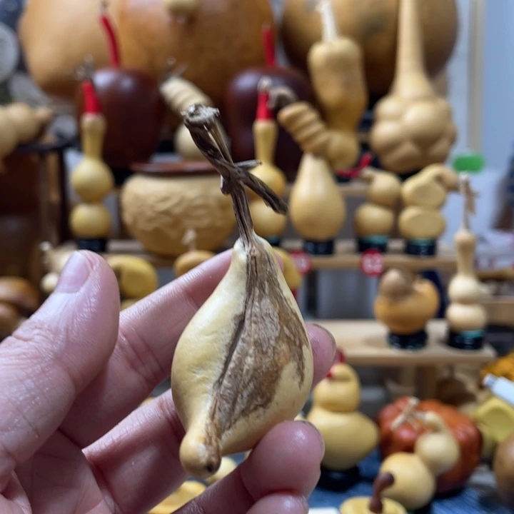 阿***龙10美好的一天从吃瓜开始啦打榜