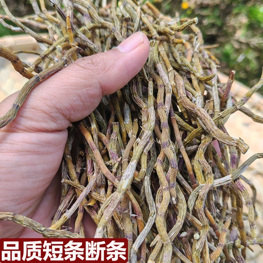 双十一好物高品质铁皮石斛短条断条石斛干条磨粉胶质粘牙石斛鲜条
