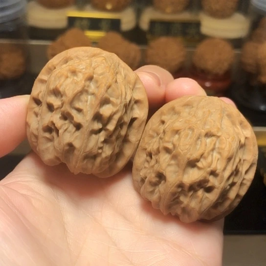 全品：太行 元宝头货