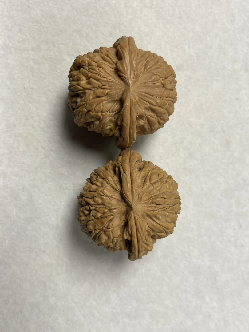 文玩核桃直播专用链接