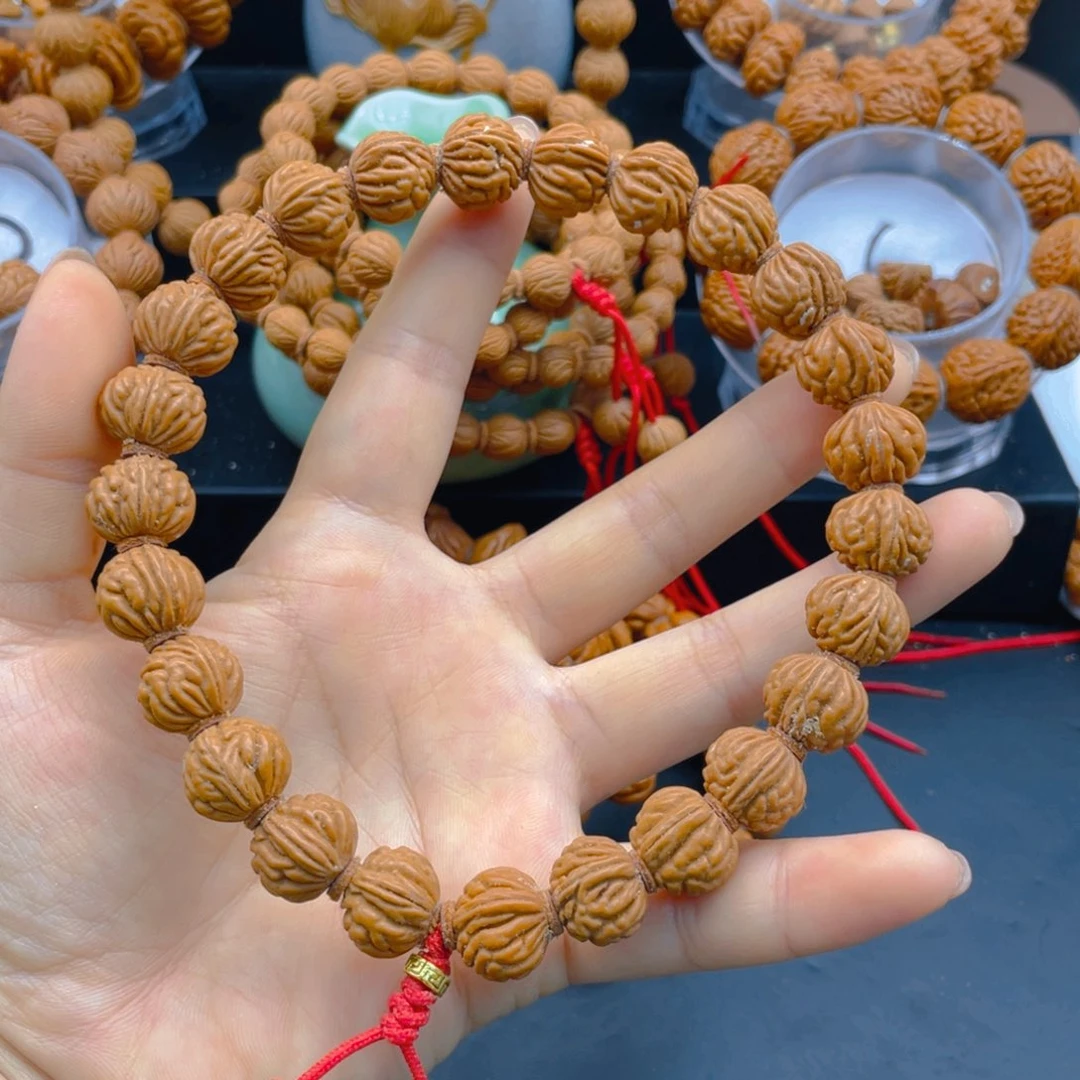 金蝉。红红火火。娜娜