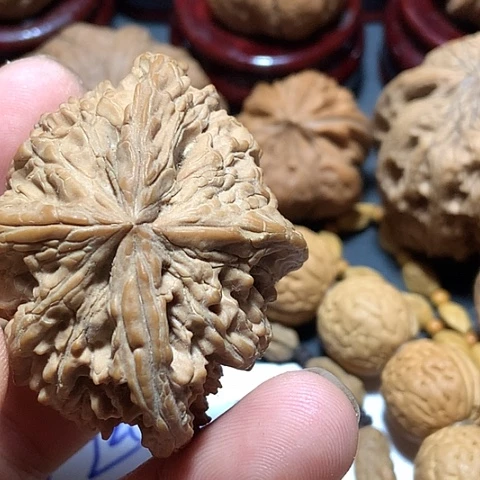 腋**男天然星星四棱一个