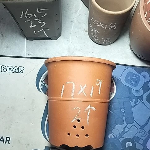 红泥腰缠万贯两个微瑕