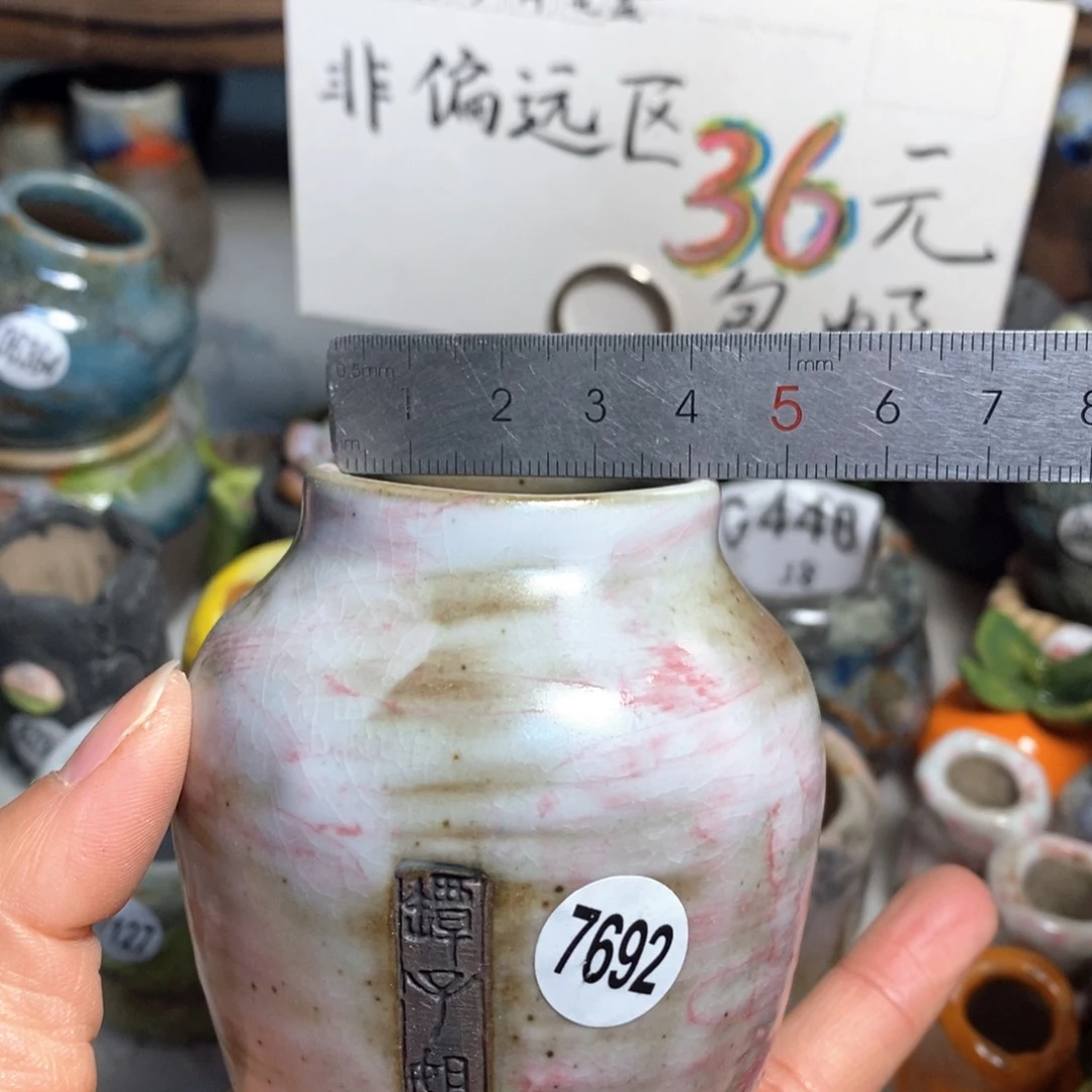 拍3送一个小礼物花盆