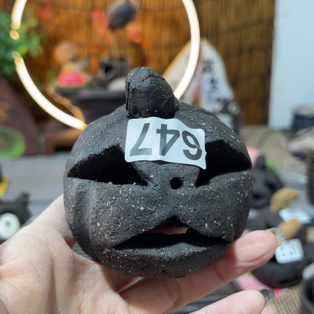 木村信弘柴烧保平