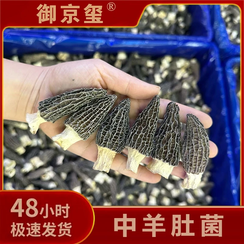 【新年福利】云南林下冬季头茬精选中羊肚菌