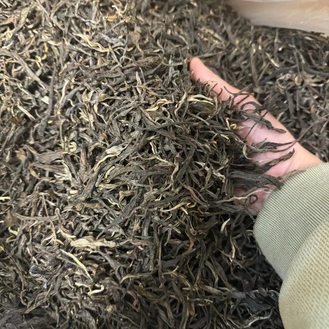 07年易武古树普洱春生茶茶样