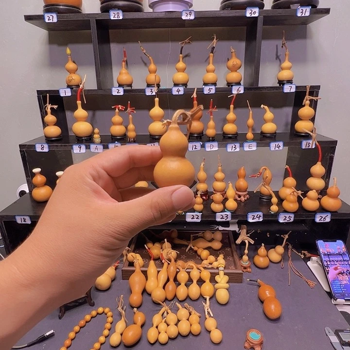 杨***子有机玻璃蚂蚁蚂蚁蚂蚁蚂蚁