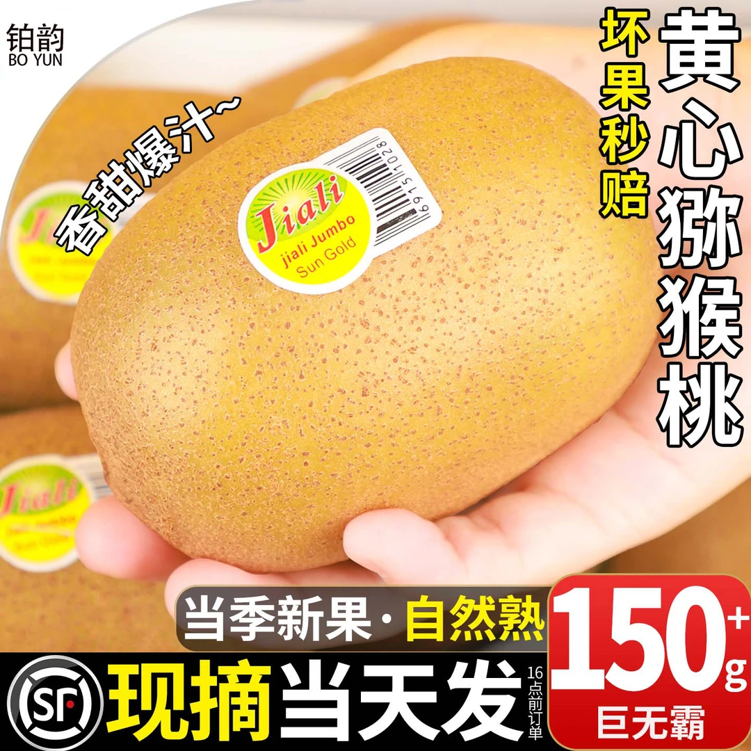 特大果礼盒四川黄心猕猴桃新鲜水果弥猴桃当季孕妇包邮甜奇异果