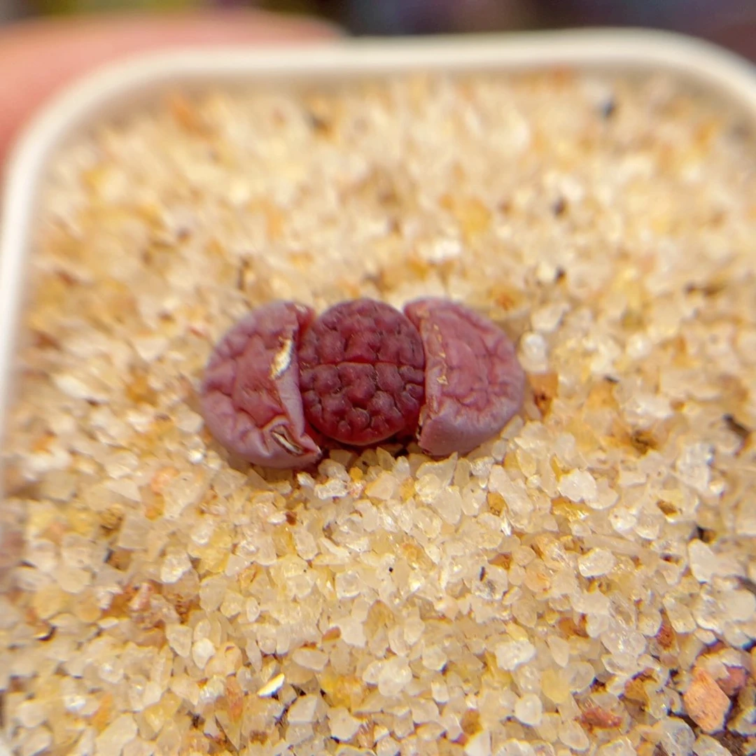 180。888888888888888888