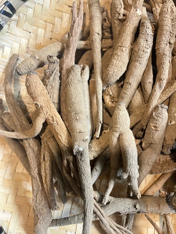 【源头山货】甜当归 生切生晒 制饼食材250/500克食用