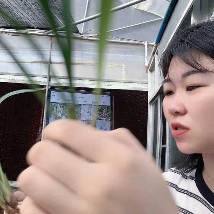 完全开放28153585