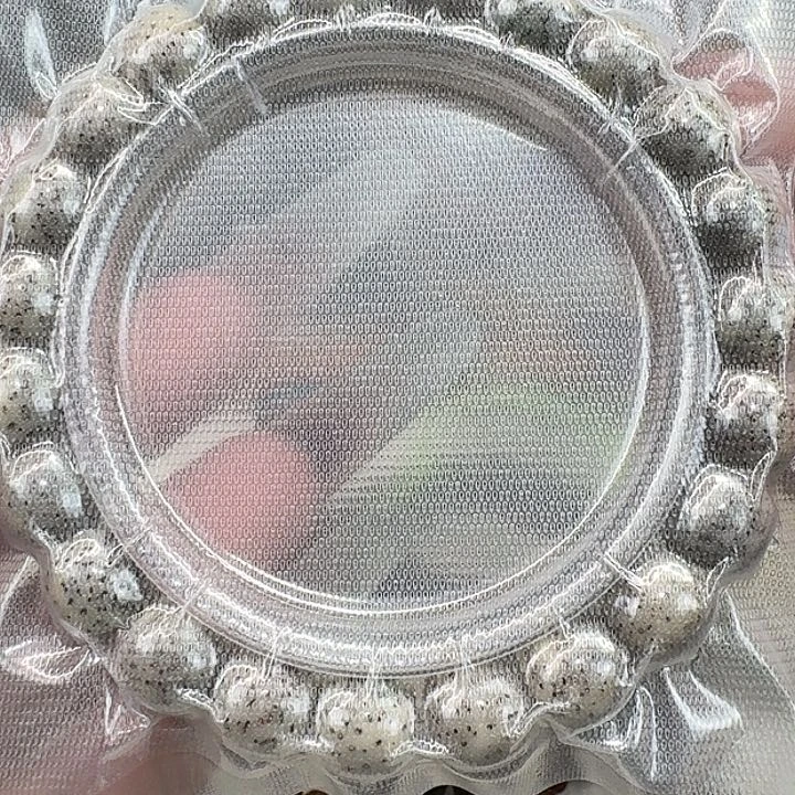 星月菩提手串55王者黑冰果冻10 9