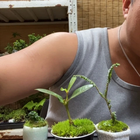 红陶一物一拍所见即所得46