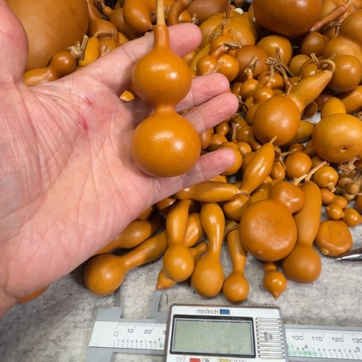 ~***弟武帝的一把天津嘴八宝葫芦