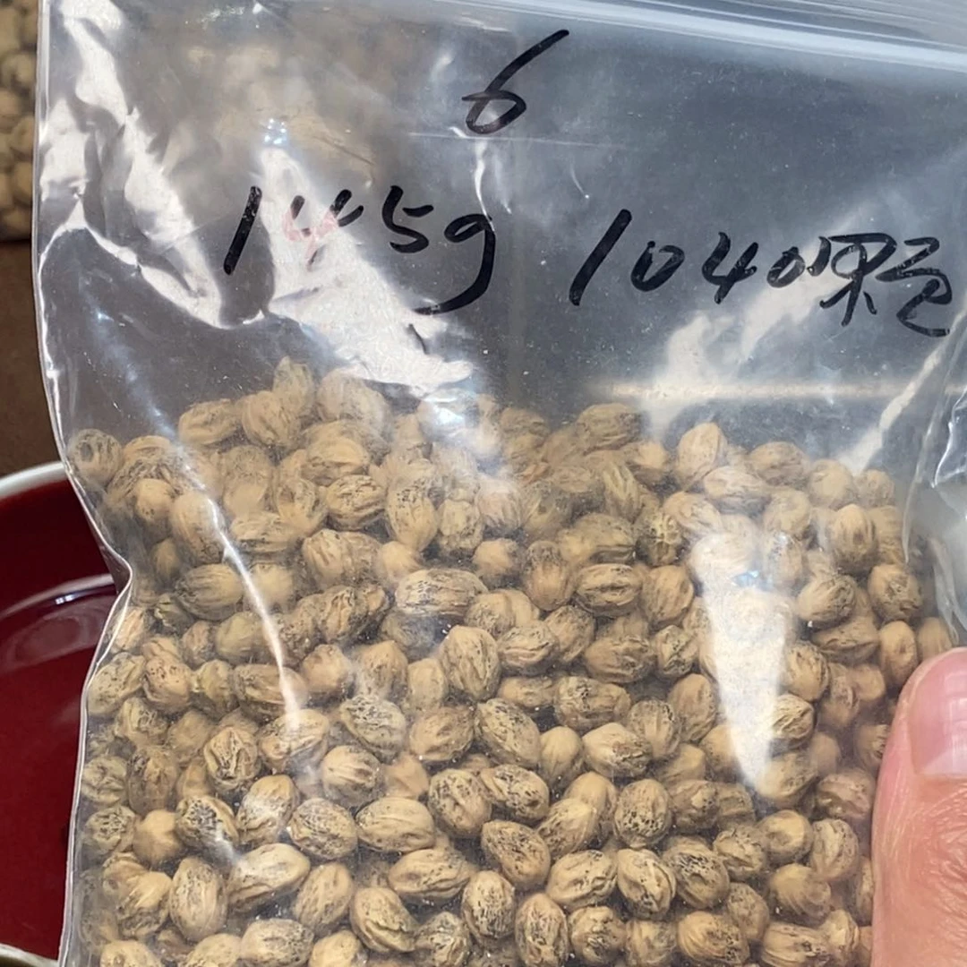 柏香籽/百香籽吊坠