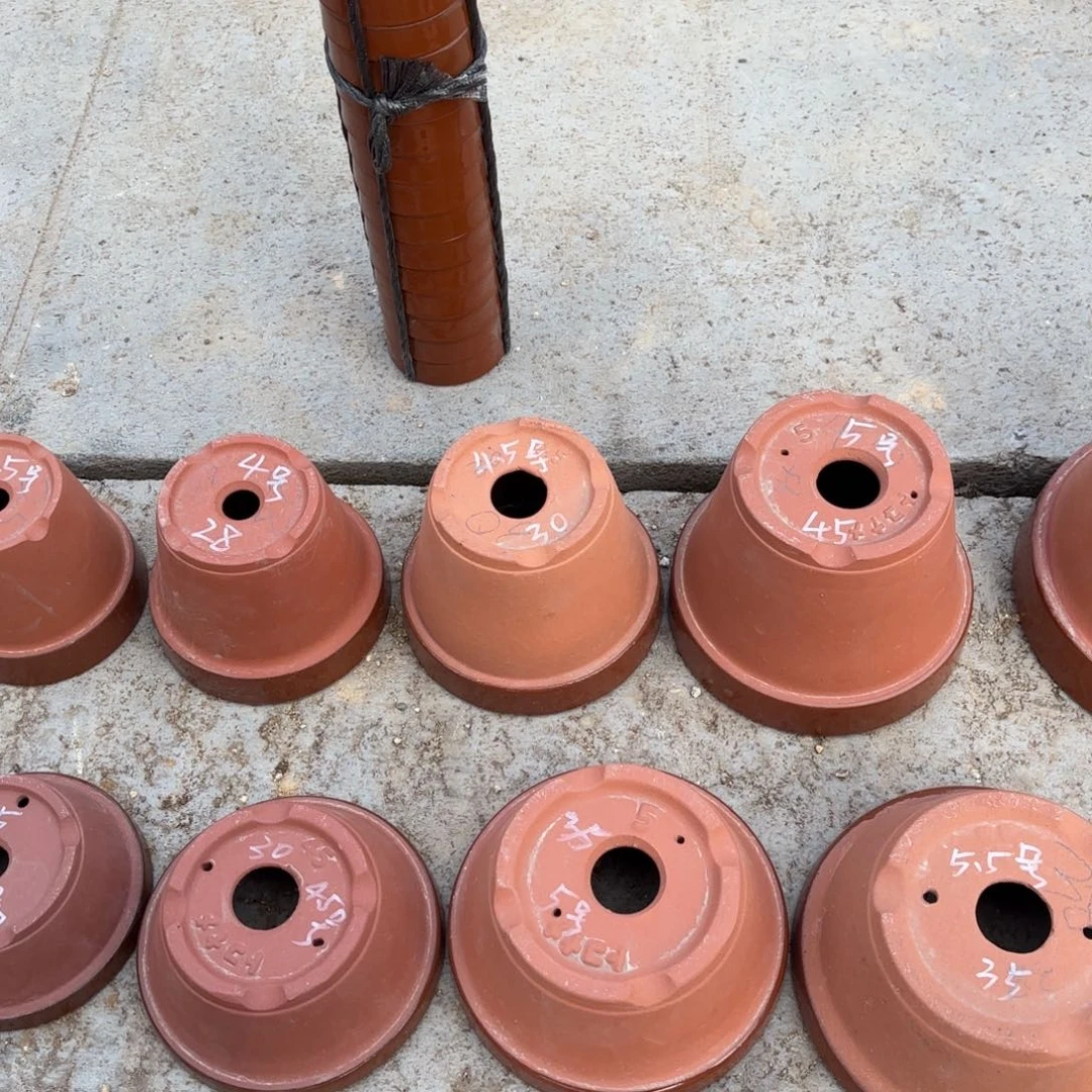 乌***菇4.5号深4个，打孔2包邮