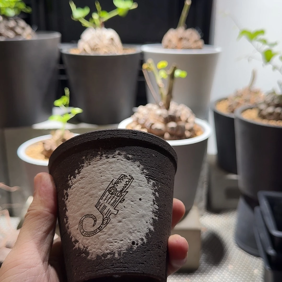 良渚鳄鱼紫砂手作盆