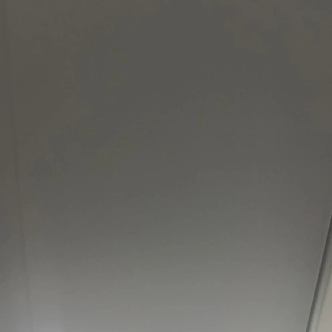 温柔花朵毛球蝴蝶结发夹女2025新款高端发卡前额碎发刘海夹侧边夹