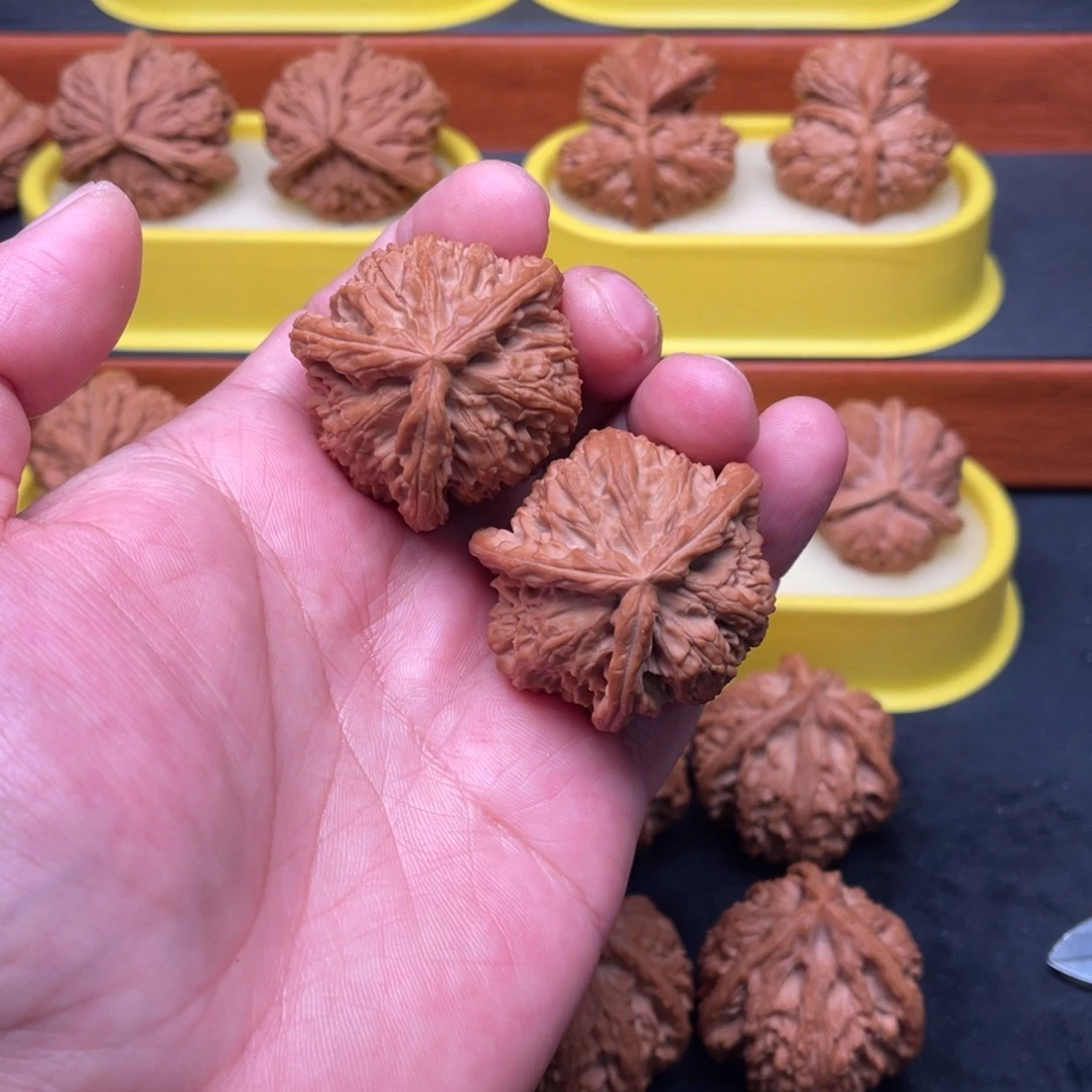 核桃手串/手链白狮子三棱41