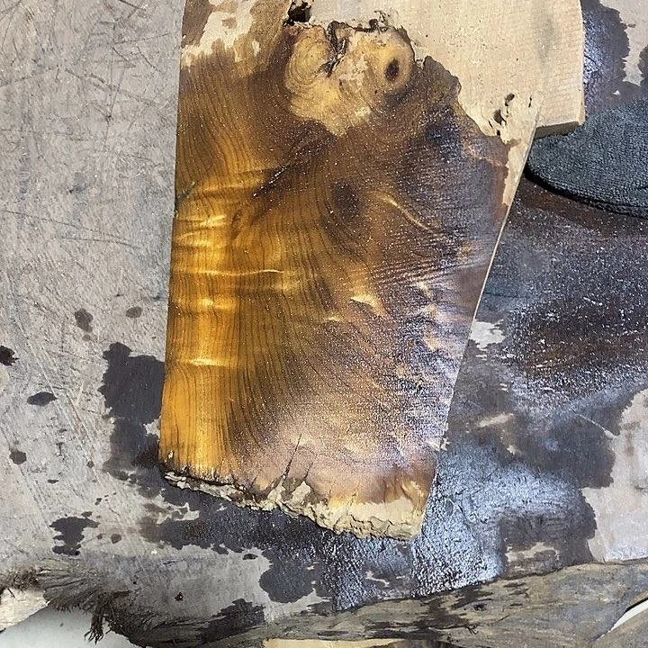 乌木类金丝楠木小叶