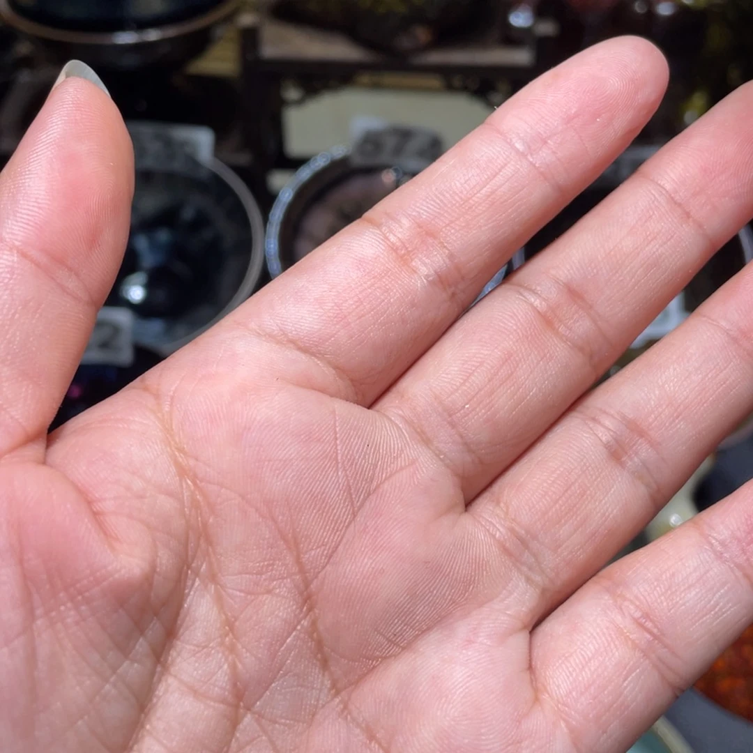 是***！茶盏盏袋10个小时后