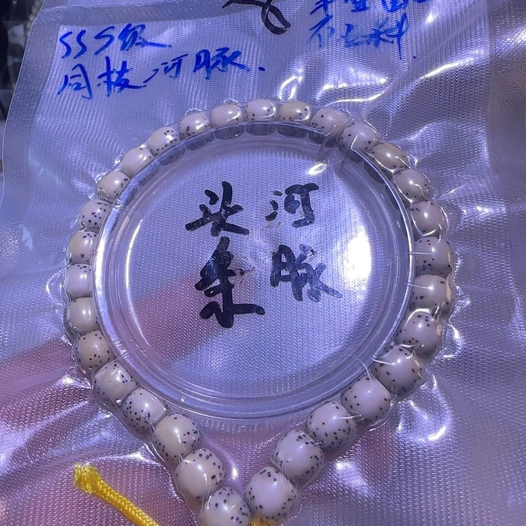 星月菩提手串灰背河豚手持