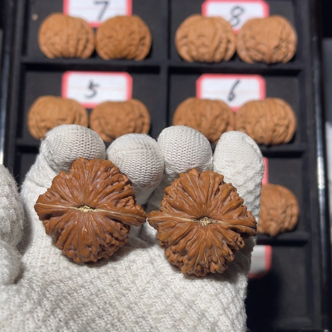 侏***龙吊坠文玩核桃03秦皇岛山地果全品