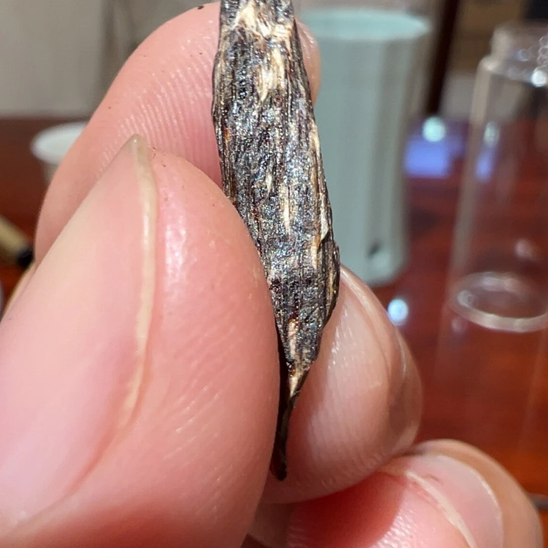 沉香沉香碎屑海南吊罗山黑棋，0.23克