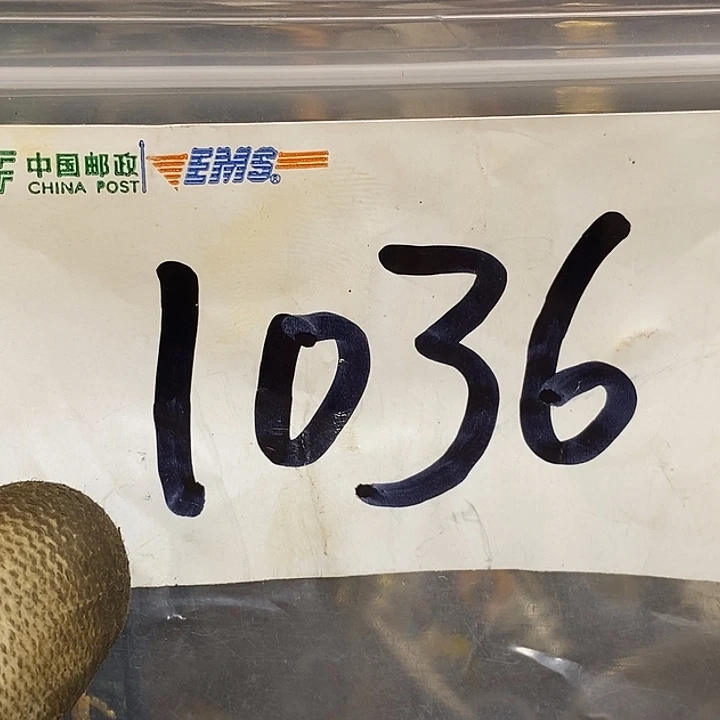 六***代最美古村专属链接