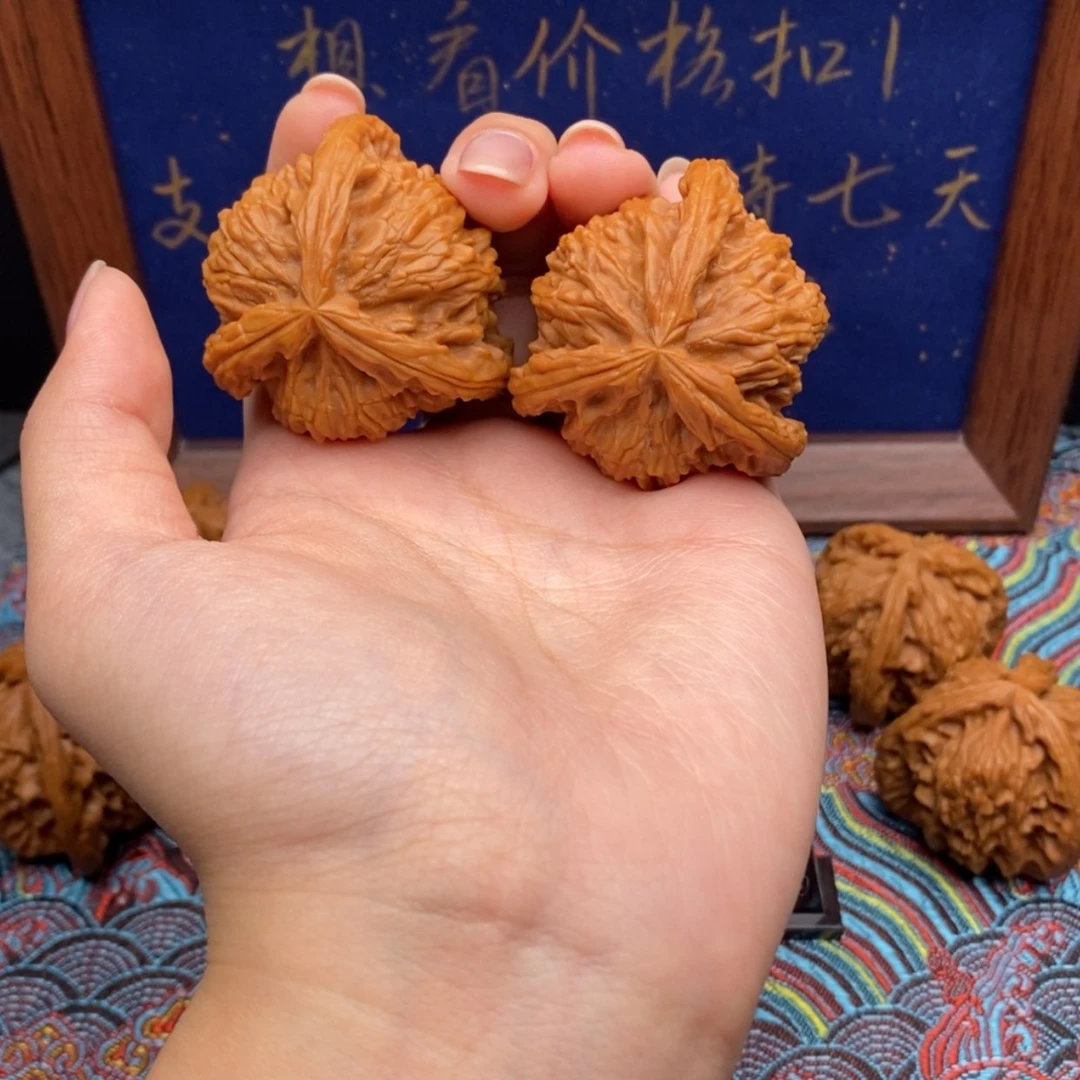 【闪购商品】擦**过白狮